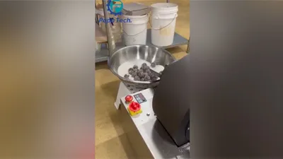 Encrusting Machine with Rounder for Making Date Ball at Australian Customer's Plant in 2022